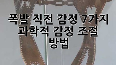 폭발 직전 감정? 7가지 과학적 감정 조절 방법